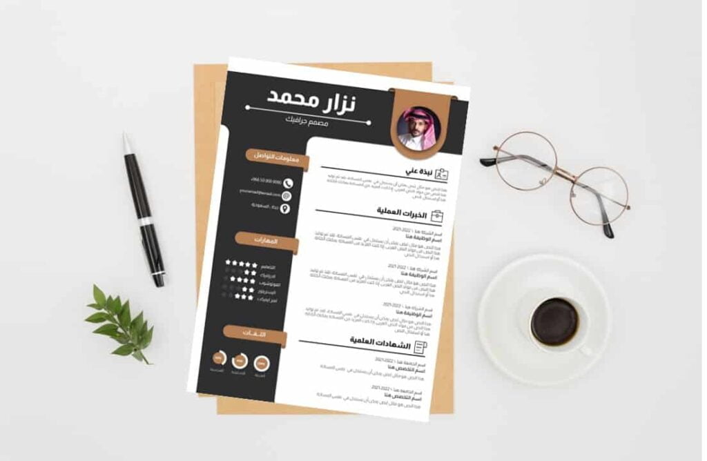 CV professionnel